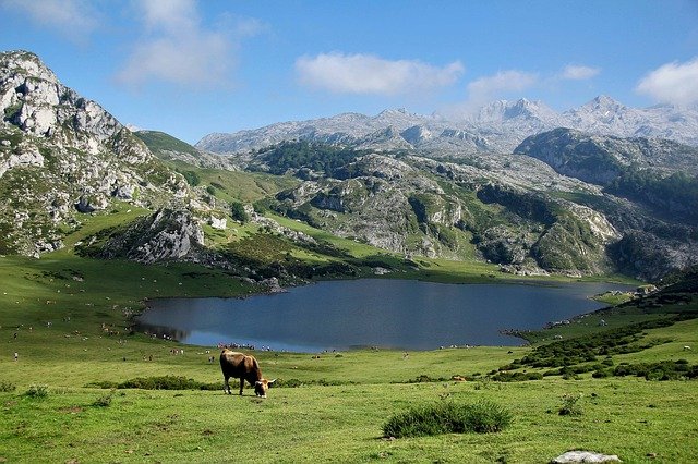 Spanja Picos de Europa Covadonga meer